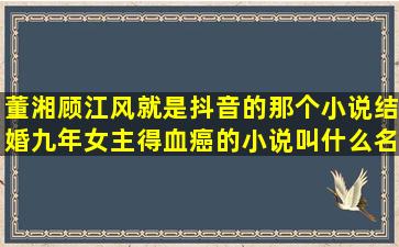 董湘顾江风就是抖音的那个小说,结婚九年女主得血癌的,小说叫什么名字