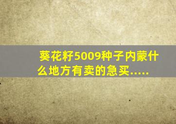 葵花籽5009种子内蒙什么地方有卖的。急买.....