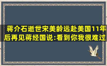 蒋介石逝世宋美龄远赴美国,11年后再见蒋经国说:看到你,我很难过