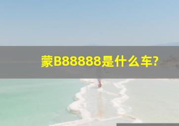 蒙B88888是什么车?