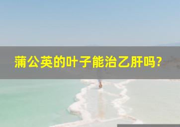 蒲公英的叶子能治乙肝吗?