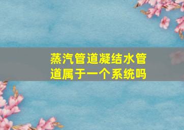 蒸汽管道,凝结水管道属于一个系统吗