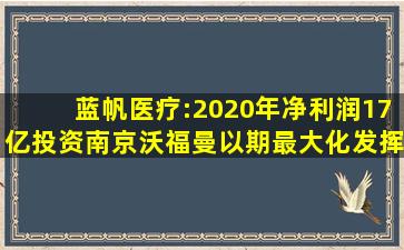 蓝帆医疗:2020年净利润17亿,投资南京沃福曼以期最大化发挥公司的全...