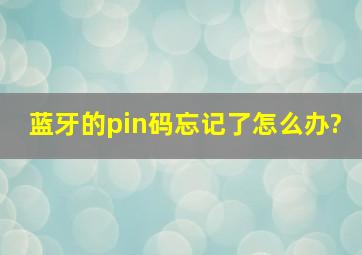 蓝牙的pin码忘记了怎么办?