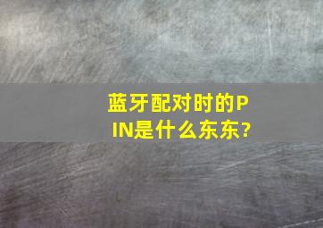 蓝牙配对时的PIN是什么东东?