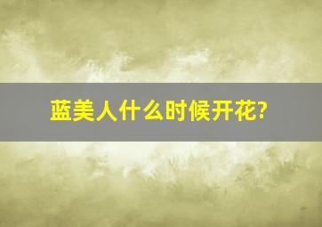 蓝美人什么时候开花?