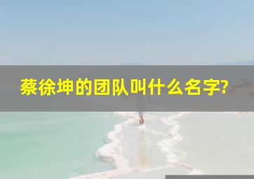 蔡徐坤的团队叫什么名字?