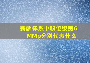 薪酬体系中职位级别GM、M、p分别代表什么 