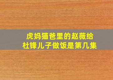 虎妈猫爸里的赵薇给杜锋儿子做饭是第几集