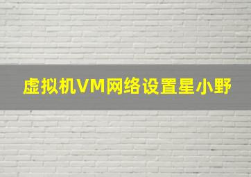 虚拟机VM网络设置  星小野 