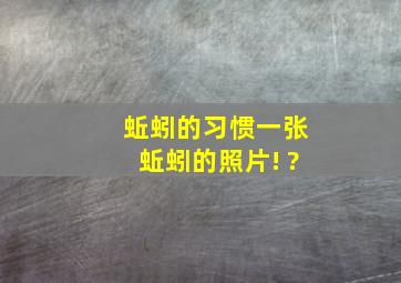 蚯蚓的习惯,一张蚯蚓的照片! ?