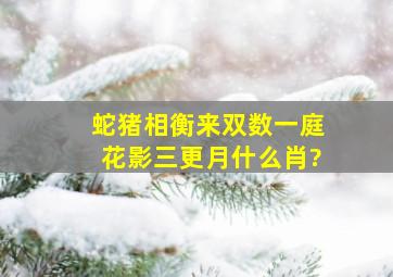 蛇猪相衡来双数一庭花影三更月什么肖?