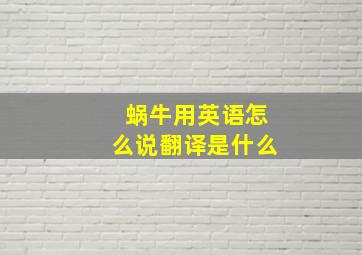 蜗牛用英语怎么说翻译是什么