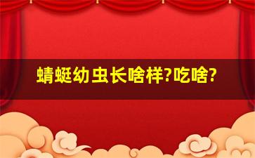 蜻蜓幼虫长啥样?吃啥?