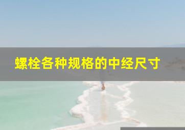 螺栓各种规格的中经尺寸 