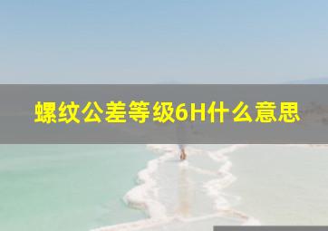 螺纹公差等级6H什么意思