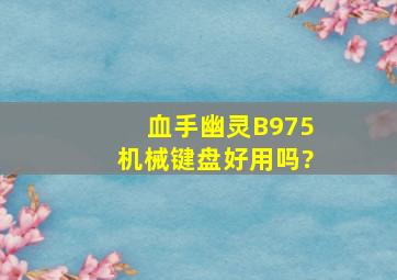 血手幽灵B975机械键盘好用吗?