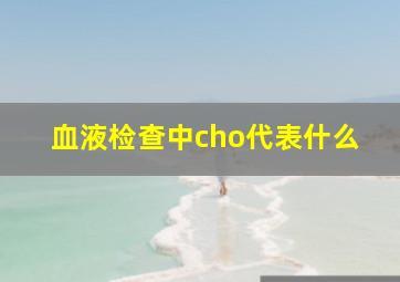 血液检查中cho代表什么