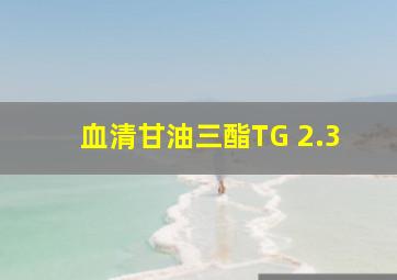 血清甘油三酯(TG) 2.3