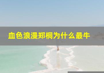 血色浪漫郑桐为什么最牛 