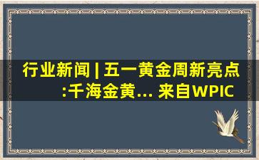 行业新闻 | 五一黄金周新亮点:千海金黄... 来自WPIC铂金投资 