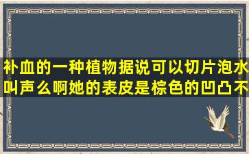 补血的一种植物,据说可以切片泡水,叫声么啊,她的表皮是棕色的,凹凸不...