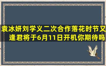 袁冰妍刘学义二次合作《落花时节又逢君》,将于6月11日开机,你期待吗