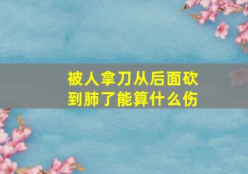 被人拿刀从后面砍到肺了,能算什么伤