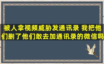 被人拿视频威胁发通讯录 我把他们删了他们敢去加通讯录的微信吗