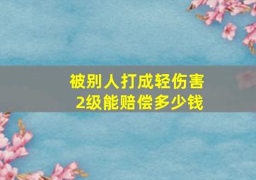 被别人打成轻伤害2级能赔偿多少钱