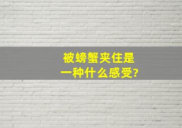 被螃蟹夹住是一种什么感受?