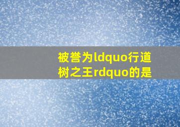 被誉为“行道树之王”的是