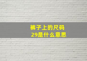 裤子上的尺码29是什么意思(