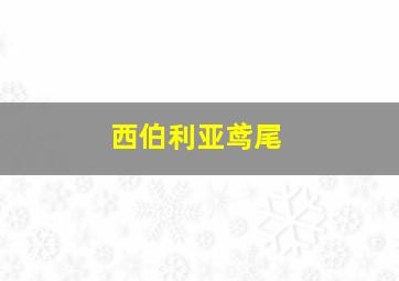 西伯利亚鸢尾