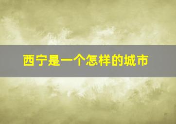 西宁是一个怎样的城市