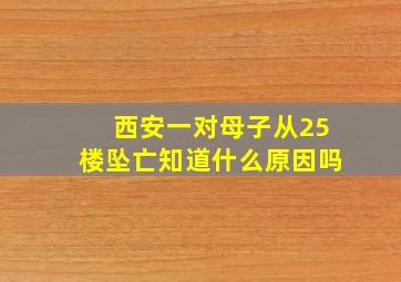 西安一对母子从25楼坠亡知道什么原因吗(