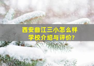 西安曲江三小怎么样 学校介绍与评价?