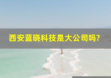 西安蓝晓科技是大公司吗?