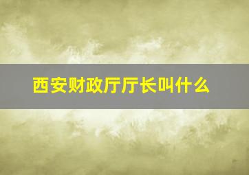 西安财政厅厅长叫什么