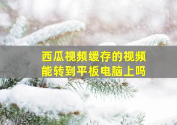 西瓜视频缓存的视频能转到平板电脑上吗