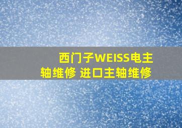 西门子(WEISS电主轴)维修 进口主轴维修