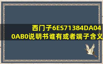 西门子6ES71384DA040AB0说明书谁有,或者端子含义图