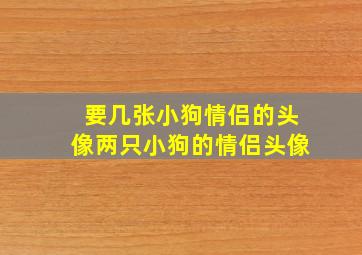 要几张小狗情侣的头像两只小狗的情侣头像