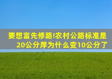 要想富,先修路!农村公路标准是20公分厚,为什么变10公分了