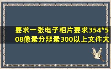 要求一张电子相片,要求354*508像素,分辩素300以上,文件大小300KB...