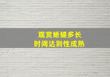 观赏蜥蜴多长时间达到性成熟