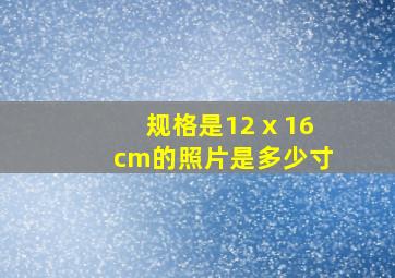 规格是12 x 16 cm的照片是多少寸