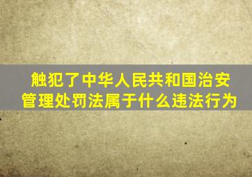 触犯了《中华人民共和国治安管理处罚法》属于什么违法行为(