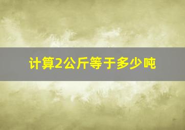 计算2公斤等于多少吨