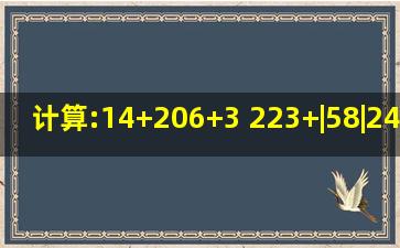 计算:(1)4+206+3; (2)23+|58|24÷...